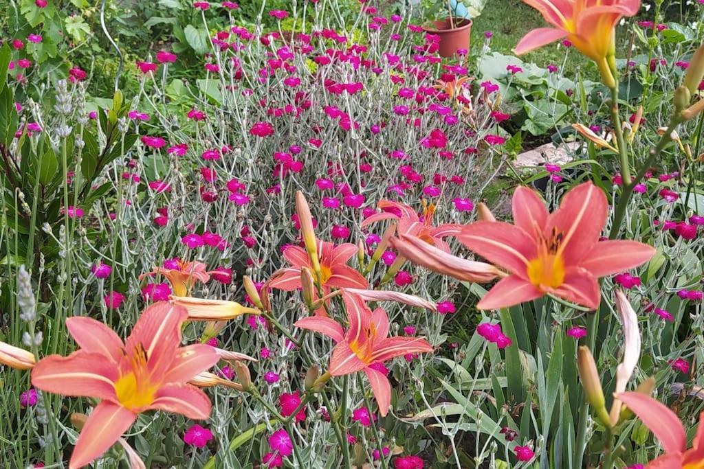 Gite Les Lilas La Genevraye ภายนอก รูปภาพ